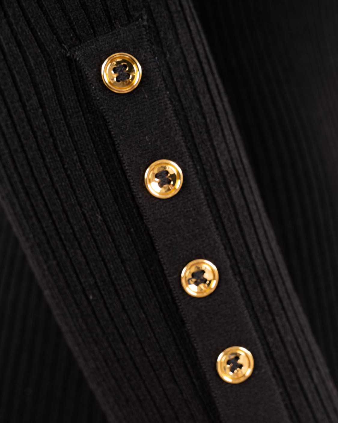 shop ELISABETTA FRANCHI  Lupetto: Elisabetta Franchi maglia a costine con taschino.
Collo dolcevita.
Maniche con bottoni al fondo.
Taschino in raso con dettaglio logo.
Vestibilità Slim.
Composizione: 64%Lyocell 20%Poliammide 16%Seta.
Made in Italy.. MK11B56E2-110 number 8007005